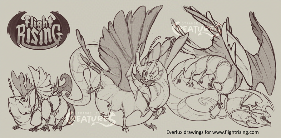 Tighter drawings for the Everlux breed for Flight Rising.